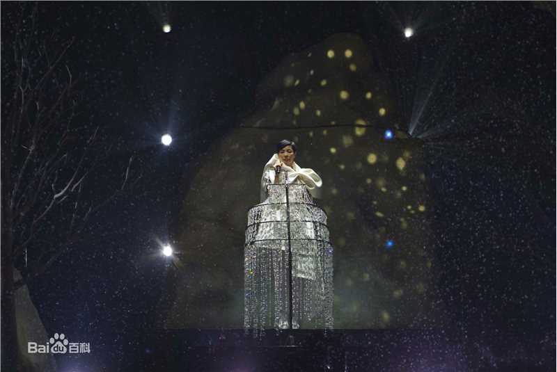王菲(Faye Wong)2011巡唱 成都图片图册