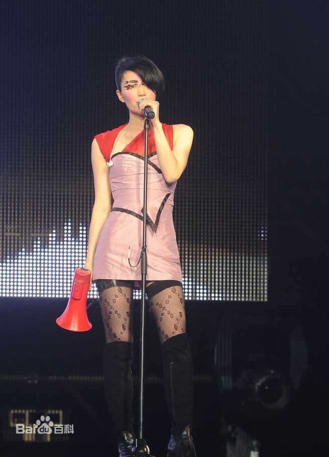 王菲(Faye Wong)2011香港演唱会生活照相册