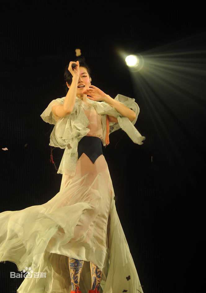 王菲(Faye Wong)2011香港演唱会生活照相册