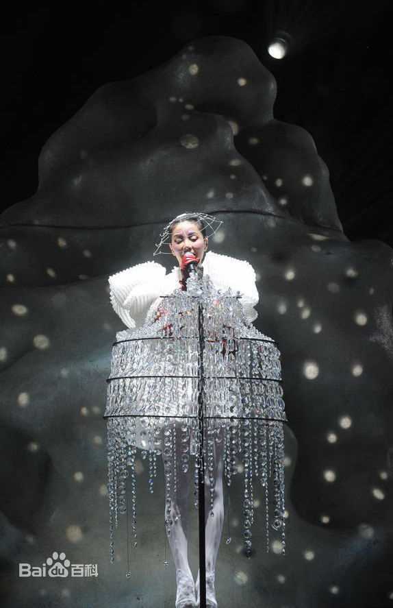 王菲(Faye Wong)2011香港演唱会生活照相册