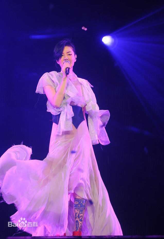 王菲(Faye Wong)2011香港演唱会生活照相册