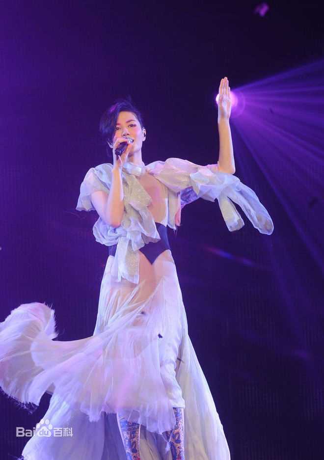 王菲(Faye Wong)2011香港演唱会生活照相册