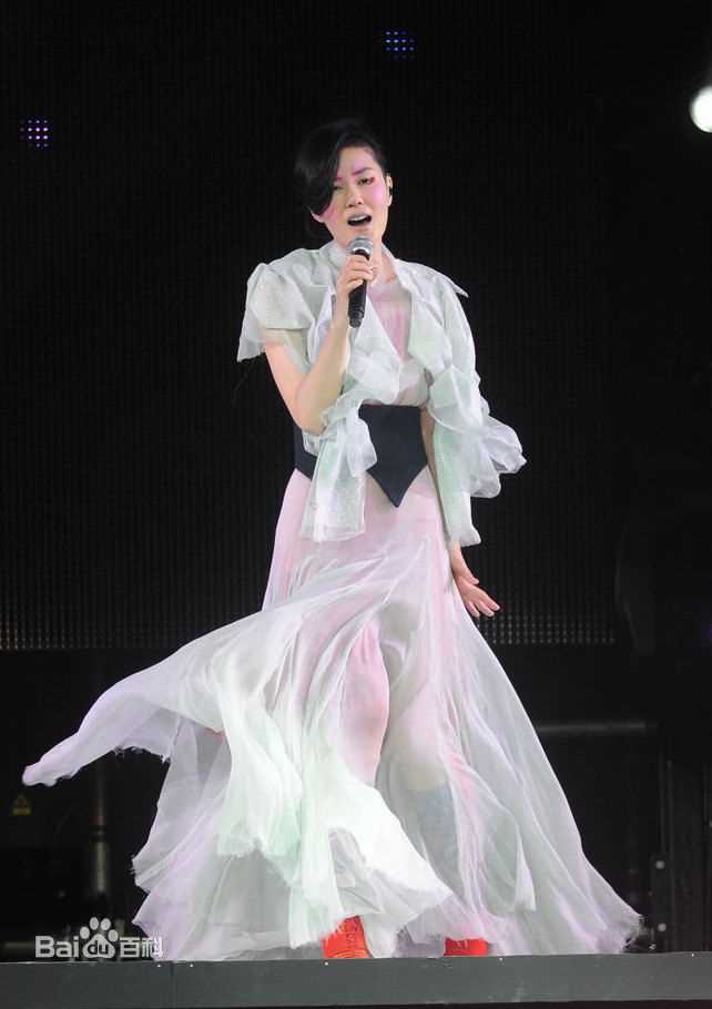 王菲(Faye Wong)2011香港演唱会生活照相册