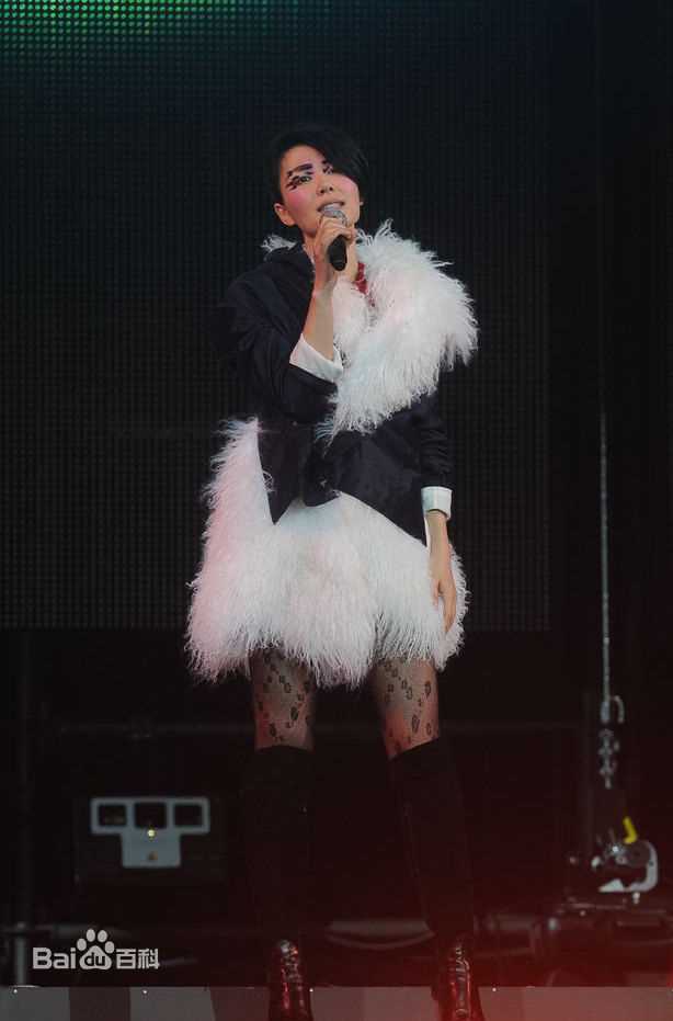王菲(Faye Wong)2011香港演唱会生活照相册
