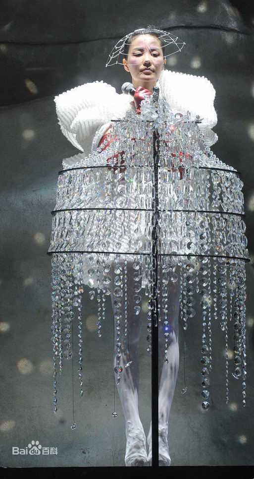 王菲(Faye Wong)2011香港演唱会生活照相册