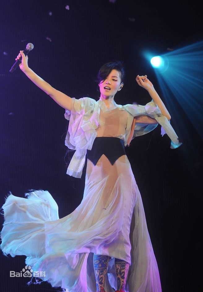 王菲(Faye Wong)2011香港演唱会生活照相册