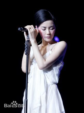 王菲(Faye Wong)2011香港演唱会生活照相册