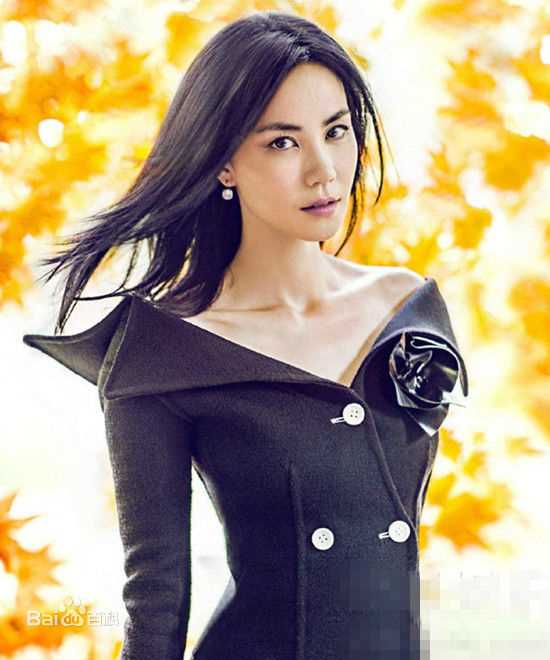 最优质王菲(Faye Wong)生活照