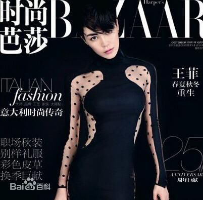 王菲(Faye Wong)精选杂志封面图册