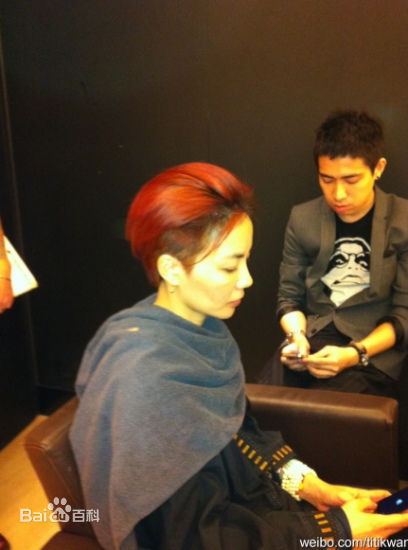 最优质王菲(Faye Wong)精彩图册