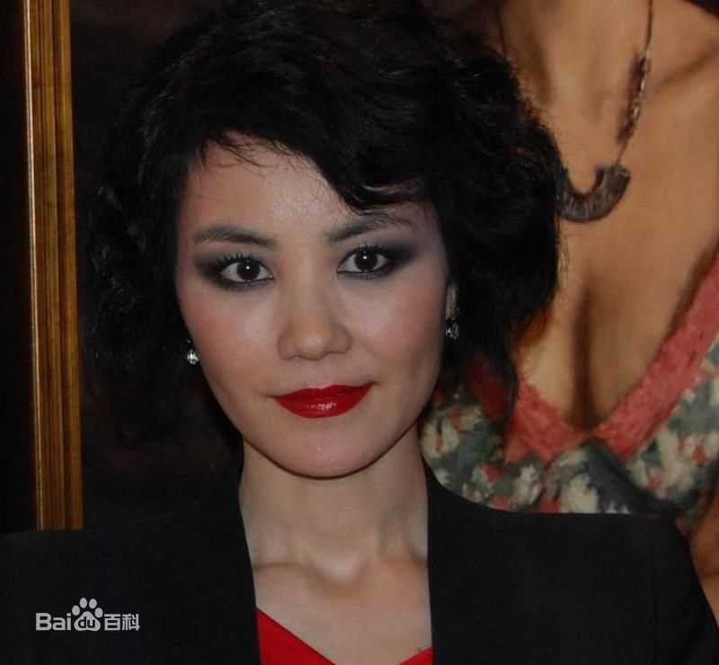 最优质王菲(Faye Wong)精彩图册