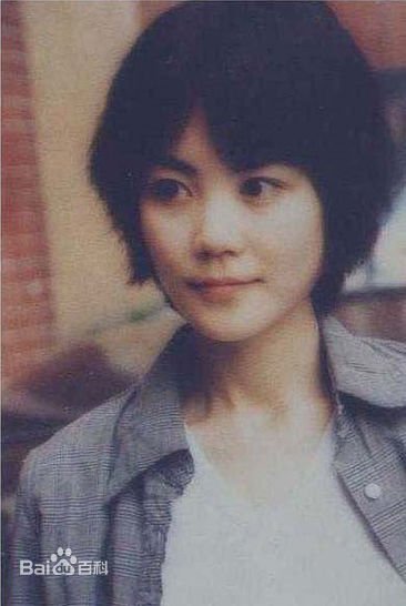 最优质王菲(Faye Wong)精彩图册