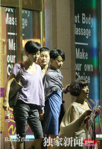 最优质王菲(Faye Wong)精彩图册