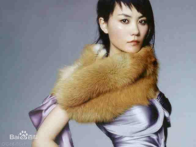 最优质王菲(Faye Wong)精彩图册