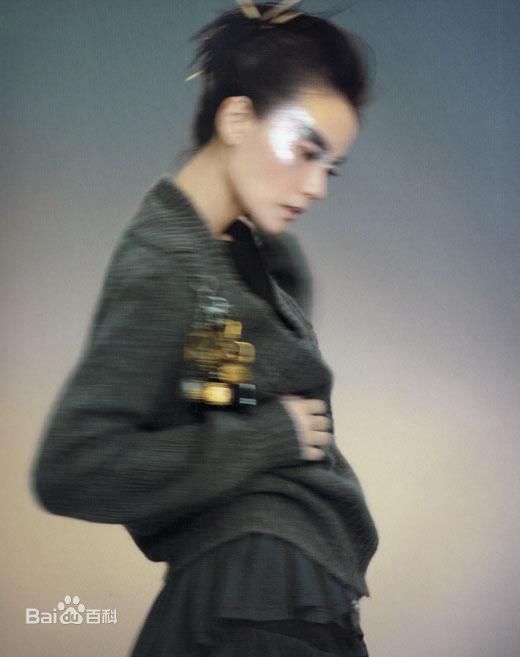 最优质王菲(Faye Wong)精彩图册