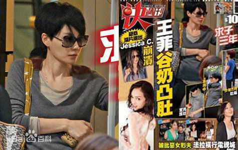 最优质王菲(Faye Wong)精彩图册
