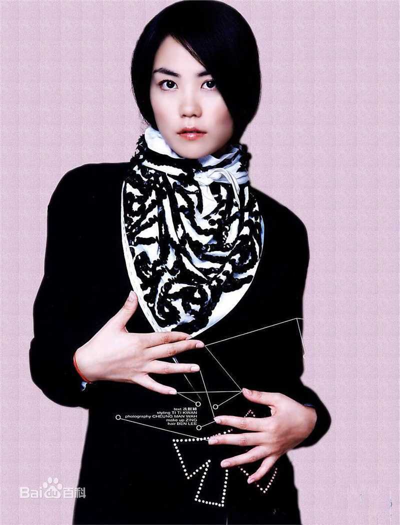 最优质王菲(Faye Wong)精彩图册