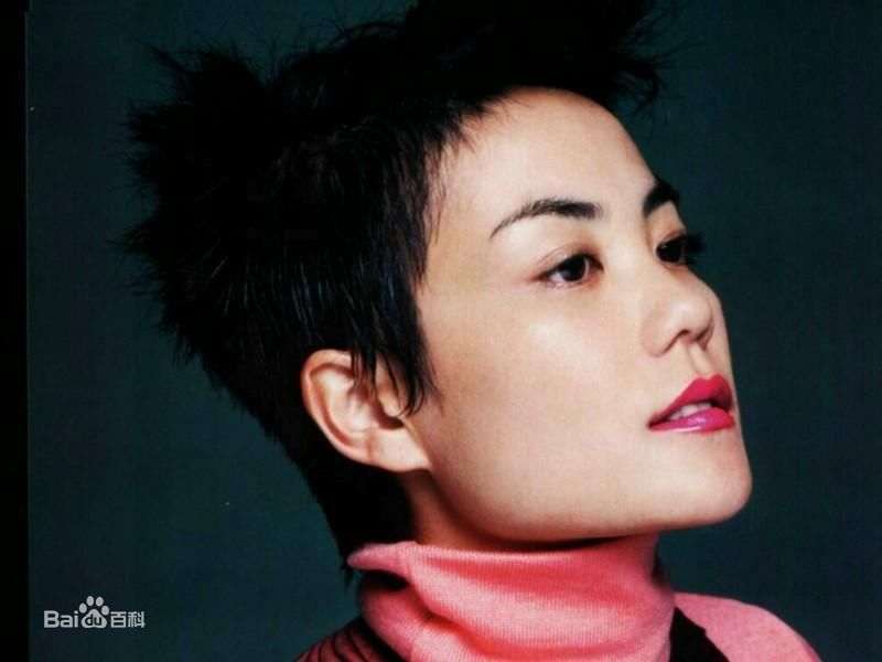 最全王菲(Faye Wong)精彩图册