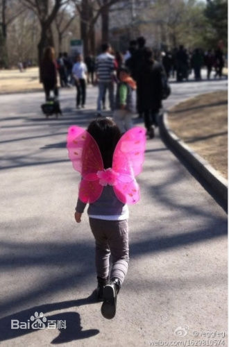 最全王菲(Faye Wong)精彩图册