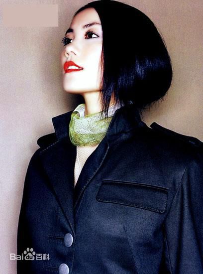 最全王菲(Faye Wong)精彩图册