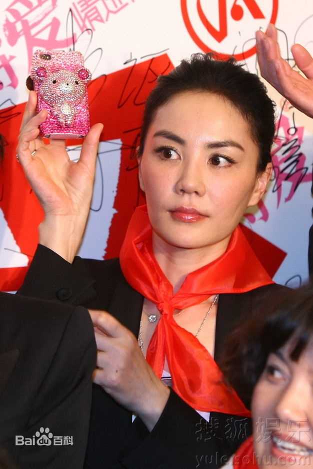 王菲(Faye Wong)2011将爱首映性感图片壁纸