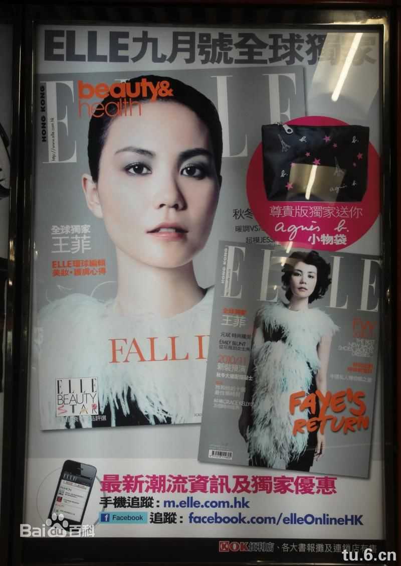 王菲(Faye Wong)精选杂志照图册