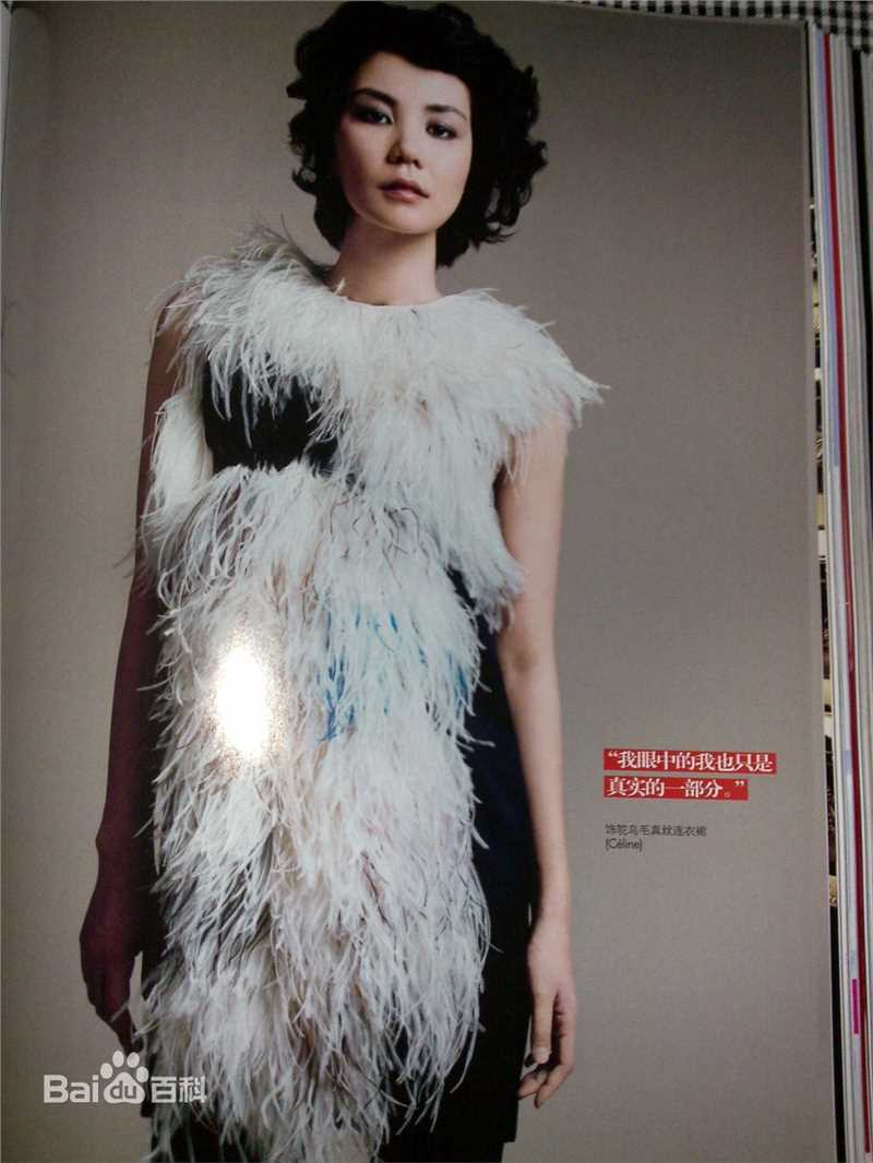 王菲(Faye Wong)精选杂志照图册