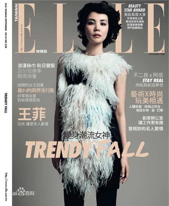 王菲(Faye Wong)精选杂志照图册