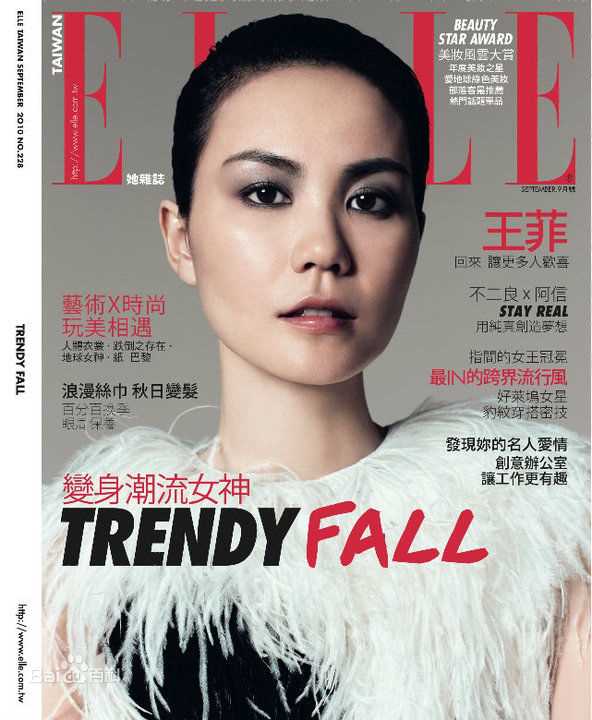 王菲(Faye Wong)精选杂志照图册