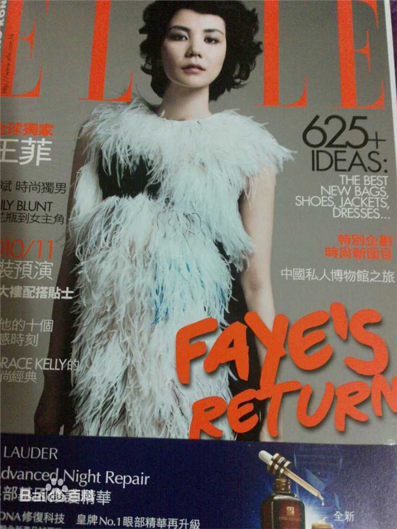 王菲(Faye Wong)精选杂志照图册