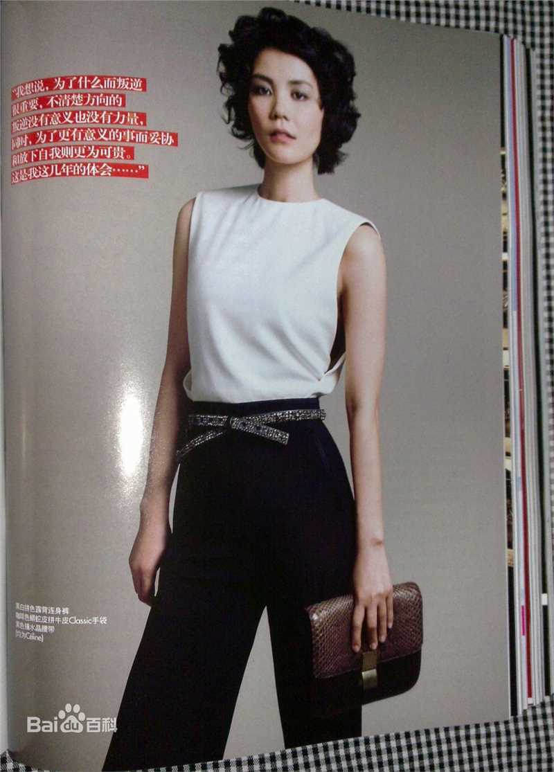 王菲(Faye Wong)精选杂志照图册