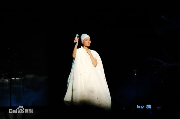 王菲(Faye Wong)2010巡回演唱会北京站素颜照相册