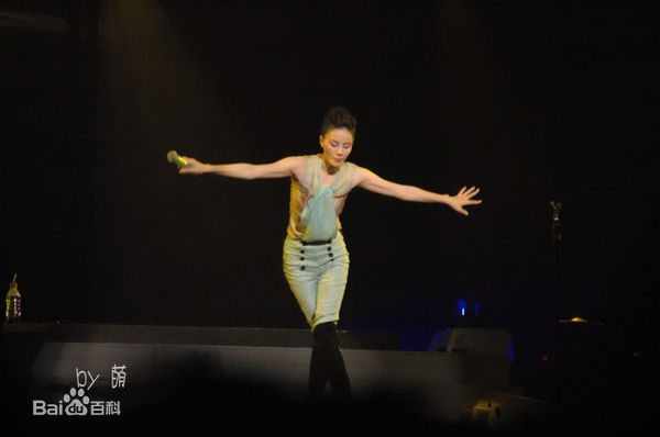 王菲(Faye Wong)2010巡回演唱会北京站素颜照相册