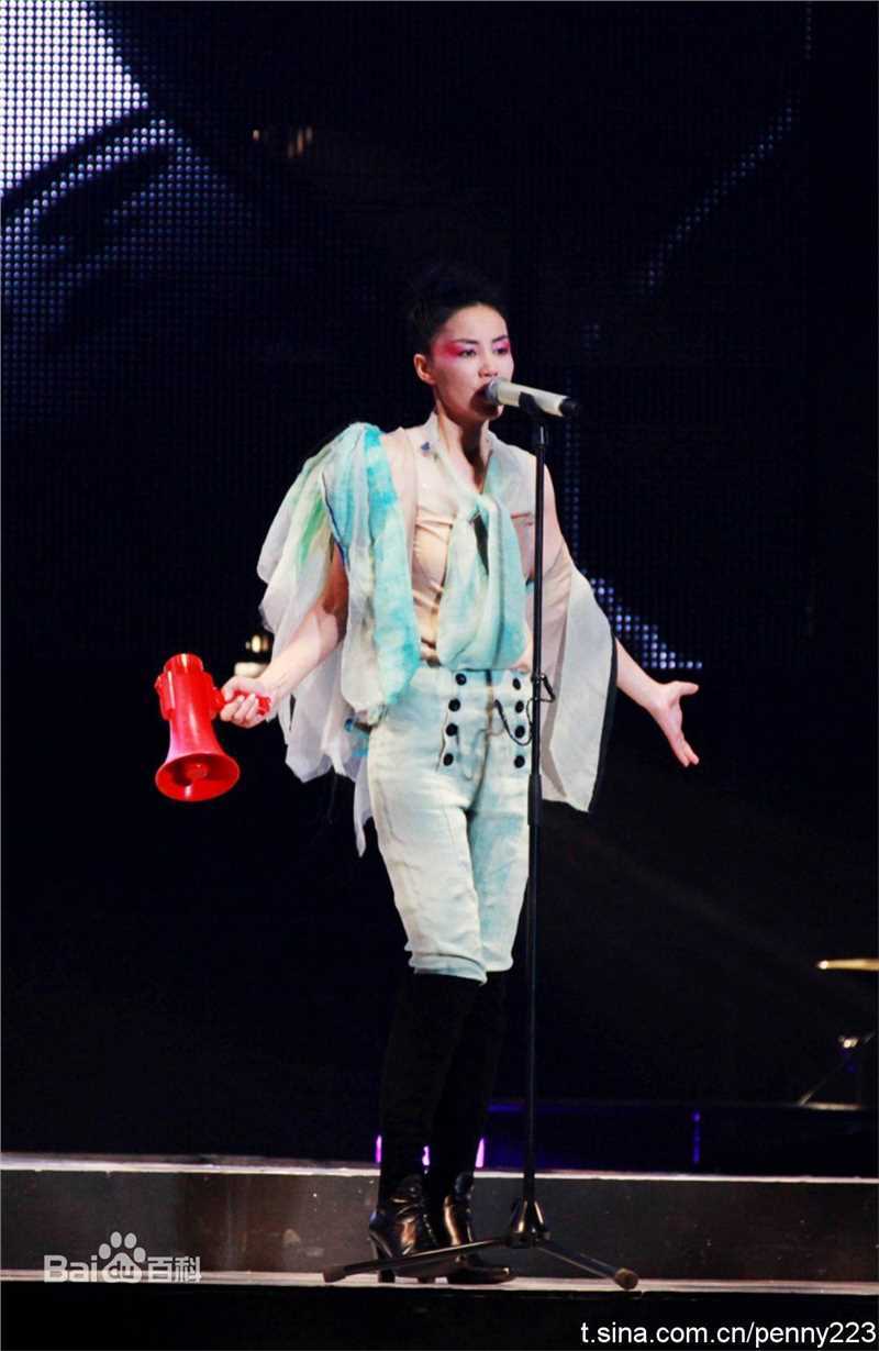 王菲(Faye Wong)2010巡回演唱会北京站素颜照相册