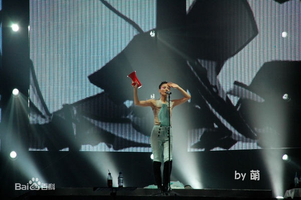 王菲(Faye Wong)2010巡回演唱会北京站素颜照相册