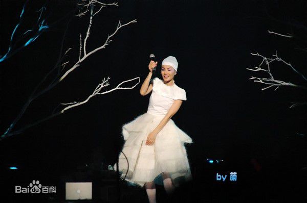 王菲(Faye Wong)2010巡回演唱会北京站素颜照相册
