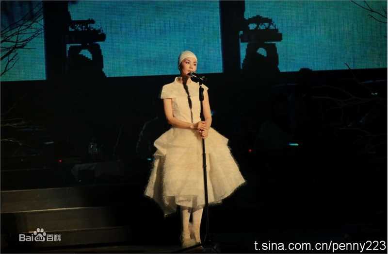 王菲(Faye Wong)2010巡回演唱会北京站素颜照相册
