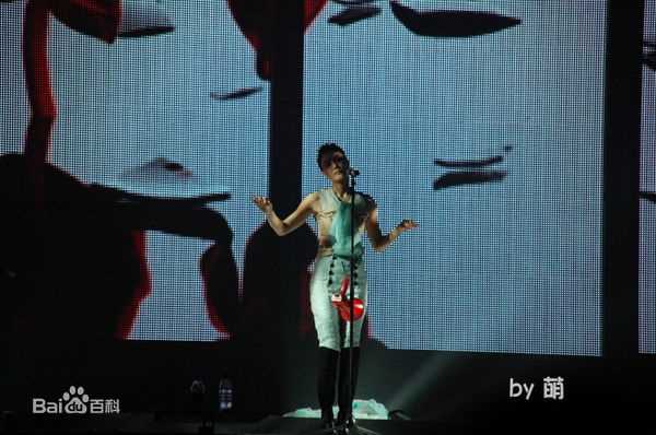 王菲(Faye Wong)2010巡回演唱会北京站素颜照相册