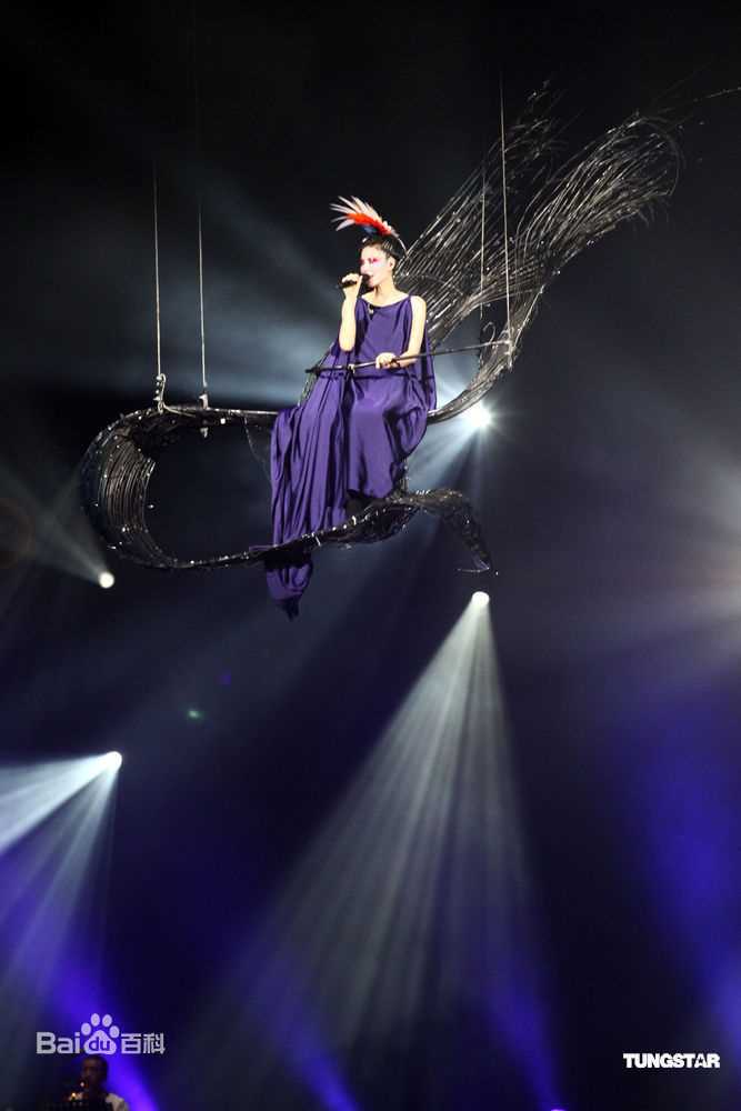 王菲(Faye Wong)2011年1月台北演唱会图册