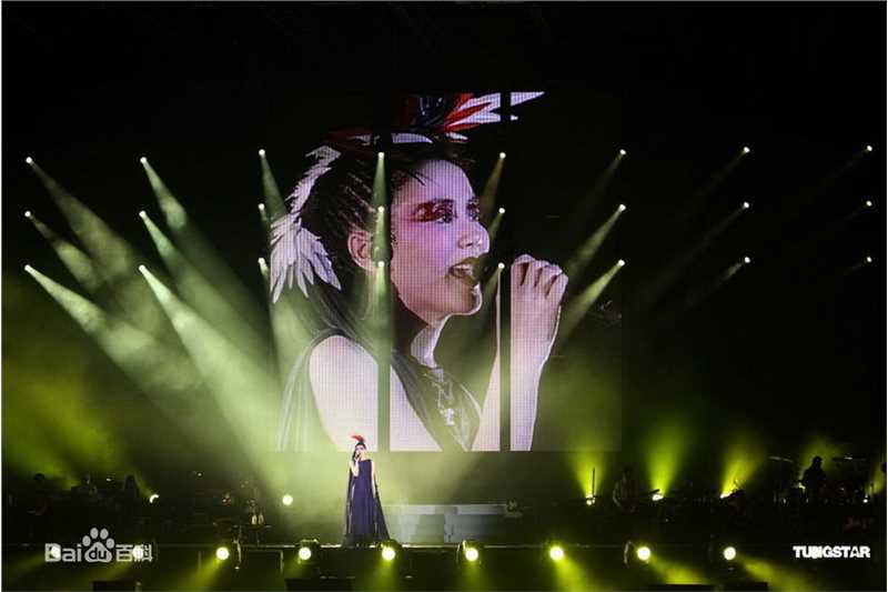 王菲(Faye Wong)2011年1月台北演唱会图册