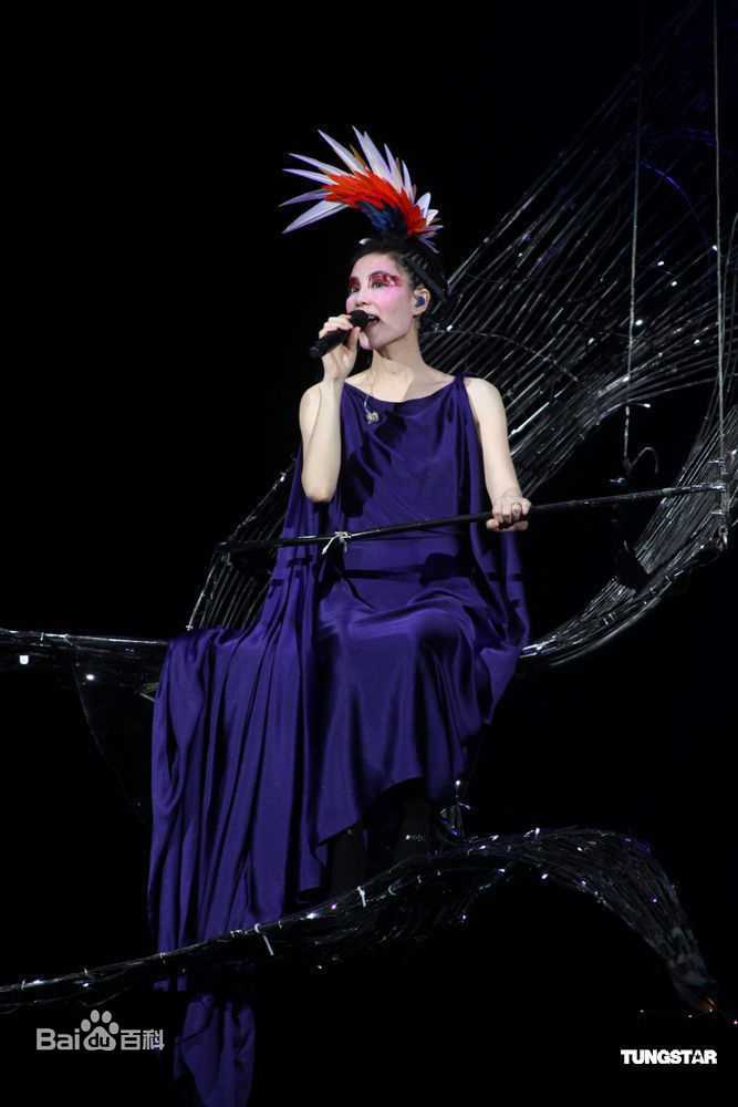 王菲(Faye Wong)2011年1月台北演唱会图册