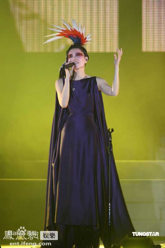 王菲(Faye Wong)2011年1月台北演唱会图册