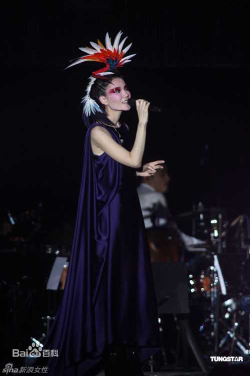 王菲(Faye Wong)2011年1月台北演唱会图册