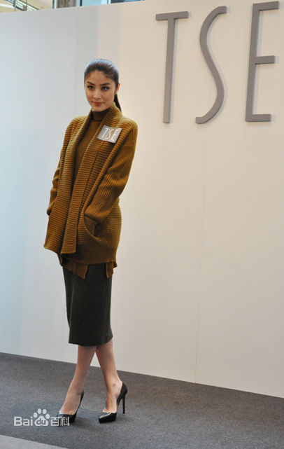 陈慧琳(Kelly Chen)特写素颜照相册