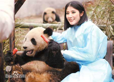 陈慧琳(Kelly Chen)生活照性感图片图集