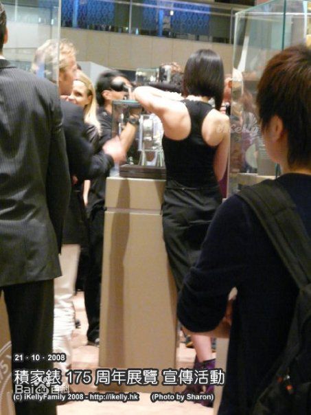 陈慧琳(Kelly Chen)精彩图册