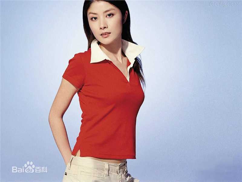 最全陈慧琳(Kelly Chen)精彩图册
