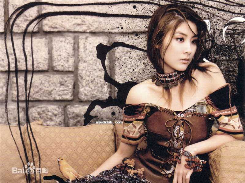 最全陈慧琳(Kelly Chen)精彩图册