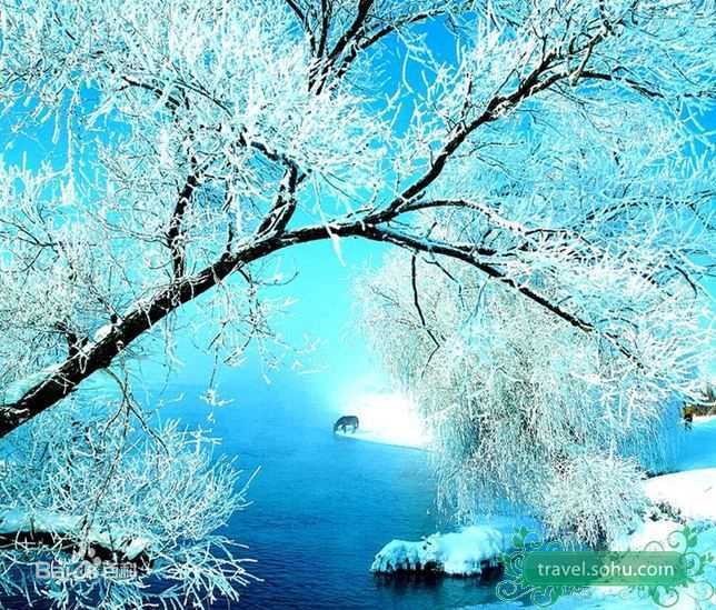 精选陈慧琳(Kelly Chen)精彩图册