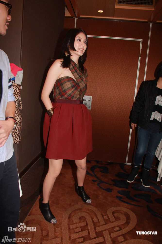 精选陈慧琳(Kelly Chen)精彩图册